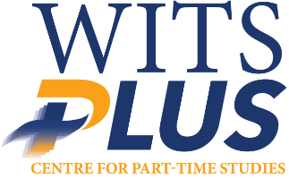 Wits Plus Logo